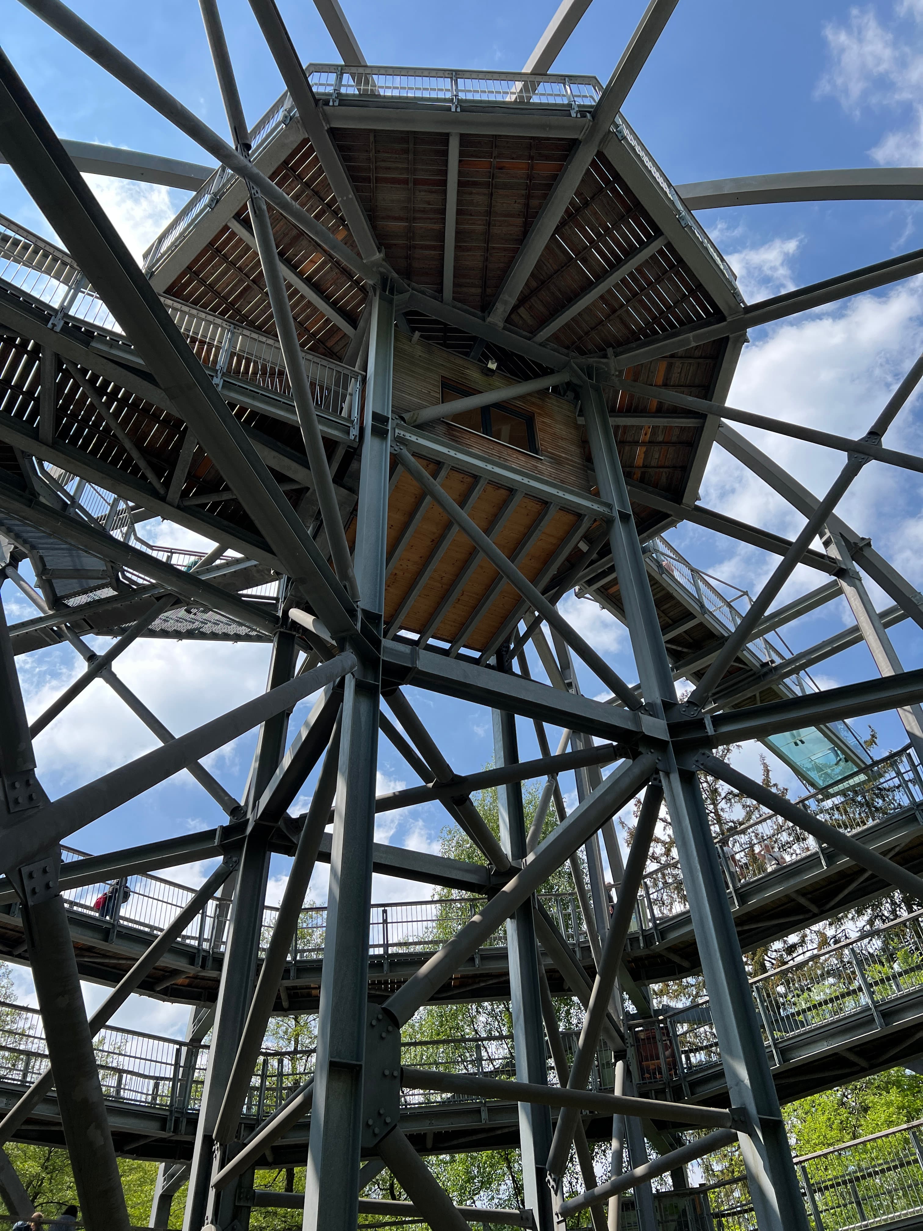 Baumwipfelpfad Bad Harzburg – Aussichtsplattform im Wald